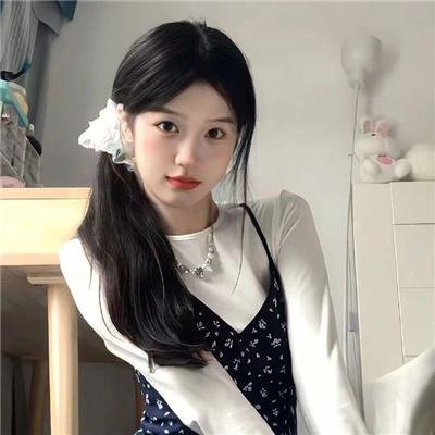 凤舞龙翔