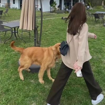 民国少年侦探社